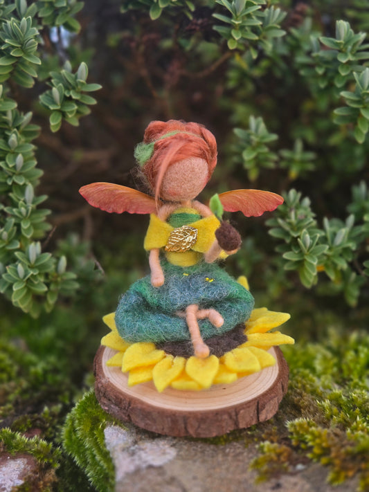 Draiocht an Dulra - 'The magic of nature'